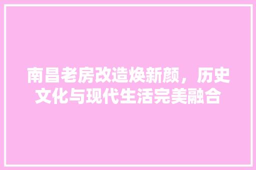 南昌老房改造焕新颜，历史文化与现代生活完美融合 墙体维修