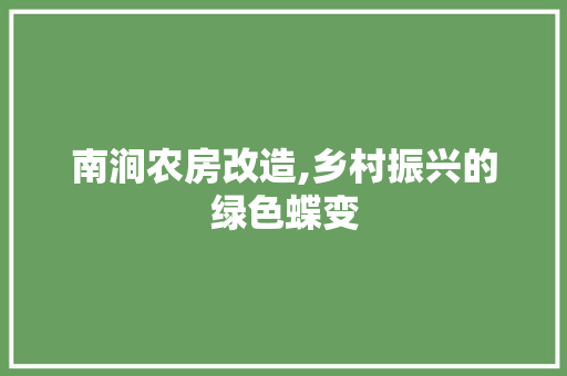 南涧农房改造,乡村振兴的绿色蝶变 综合便民