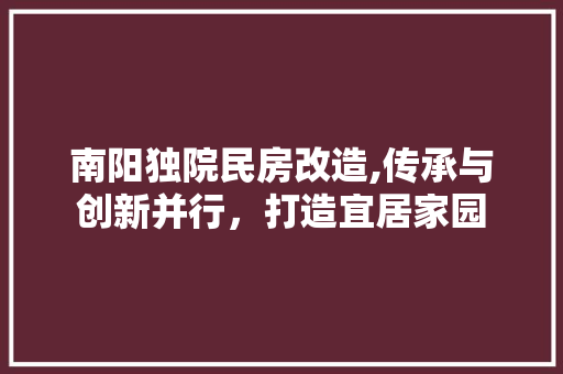 南阳独院民房改造,传承与创新并行，打造宜居家园 厨房维修