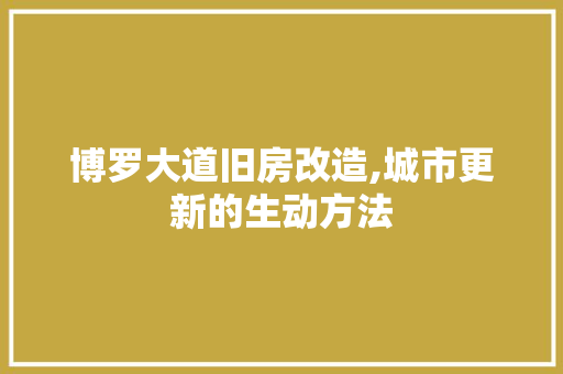 博罗大道旧房改造,城市更新的生动方法 厨房维修