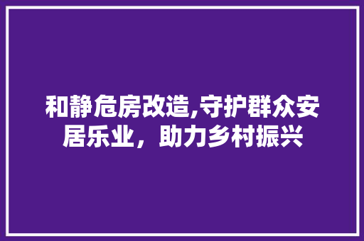 和静危房改造,守护群众安居乐业，助力乡村振兴