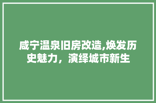 咸宁温泉旧房改造,焕发历史魅力，演绎城市新生