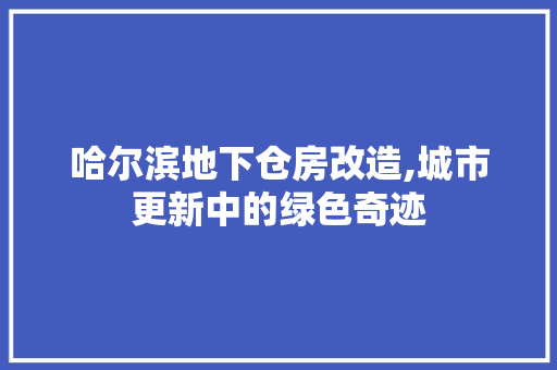 哈尔滨地下仓房改造,城市更新中的绿色奇迹 家电维修