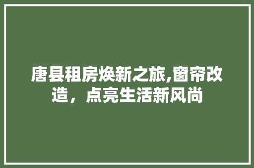 唐县租房焕新之旅,窗帘改造，点亮生活新风尚