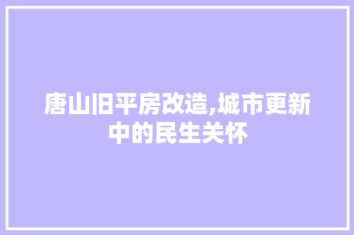 唐山旧平房改造,城市更新中的民生关怀