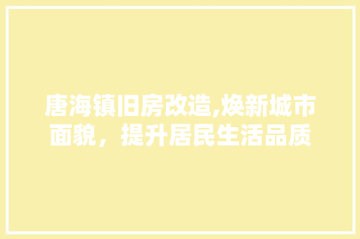 唐海镇旧房改造,焕新城市面貌，提升居民生活品质