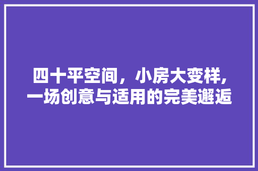 四十平空间，小房大变样,一场创意与适用的完美邂逅