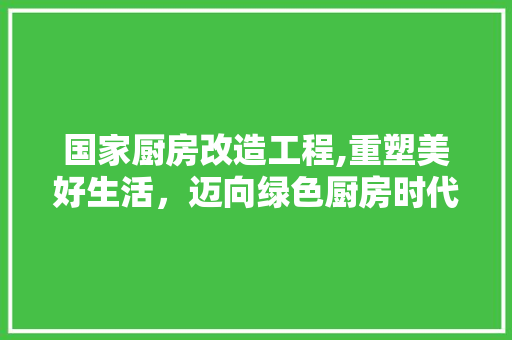 国家厨房改造工程,重塑美好生活，迈向绿色厨房时代