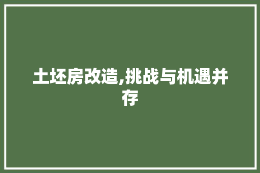 土坯房改造,挑战与机遇并存