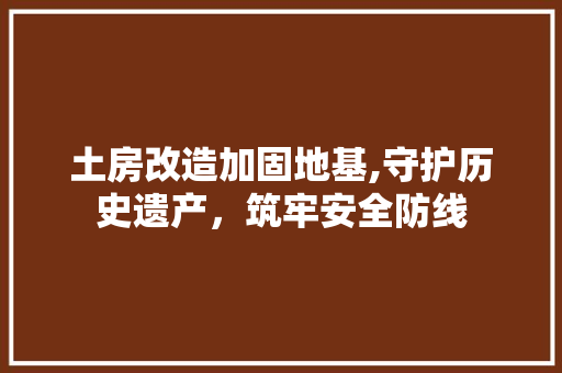 土房改造加固地基,守护历史遗产，筑牢安全防线