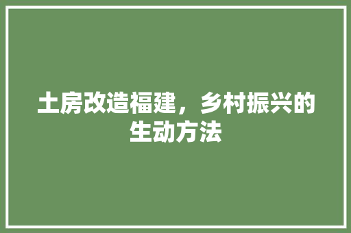 土房改造福建，乡村振兴的生动方法