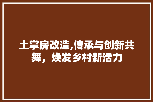 土掌房改造,传承与创新共舞，焕发乡村新活力