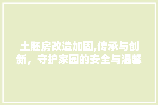 土胚房改造加固,传承与创新，守护家园的安全与温馨