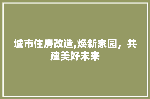 城市住房改造,焕新家园，共建美好未来