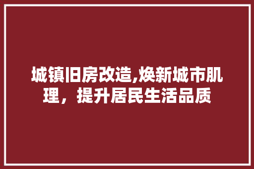 城镇旧房改造,焕新城市肌理，提升居民生活品质