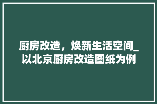 厨房改造，焕新生活空间_以北京厨房改造图纸为例