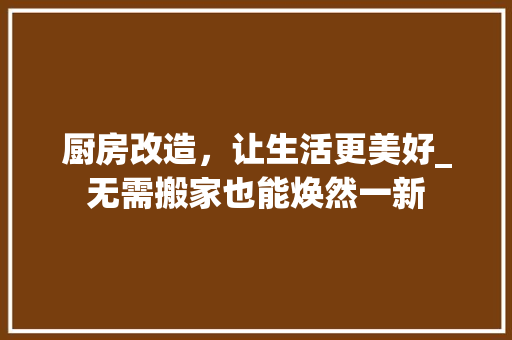厨房改造，让生活更美好_无需搬家也能焕然一新