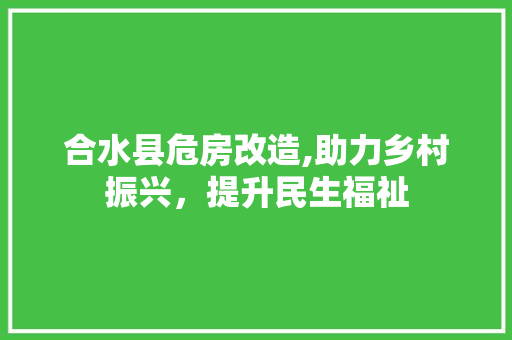 合水县危房改造,助力乡村振兴，提升民生福祉