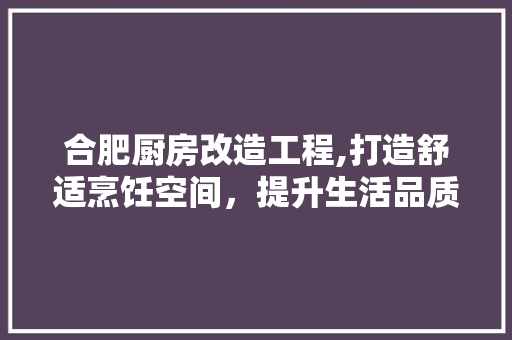 合肥厨房改造工程,打造舒适烹饪空间，提升生活品质