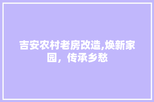 吉安农村老房改造,焕新家园，传承乡愁