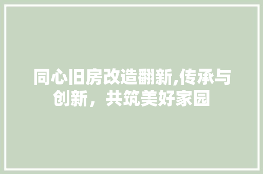 同心旧房改造翻新,传承与创新，共筑美好家园