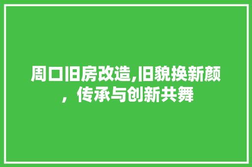 周口旧房改造,旧貌换新颜，传承与创新共舞 汽车维修