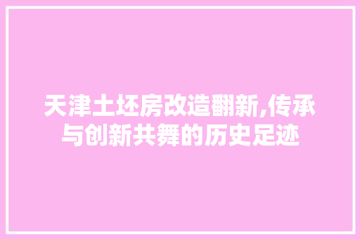 天津土坯房改造翻新,传承与创新共舞的历史足迹