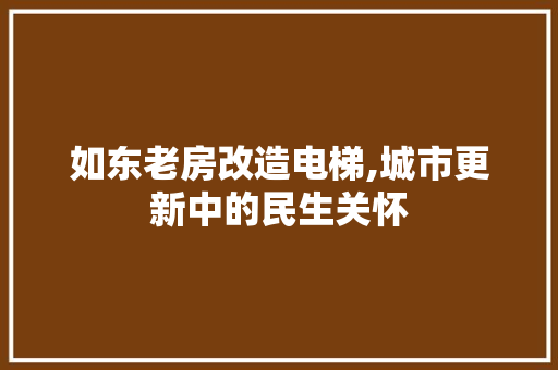 如东老房改造电梯,城市更新中的民生关怀 墙体维修
