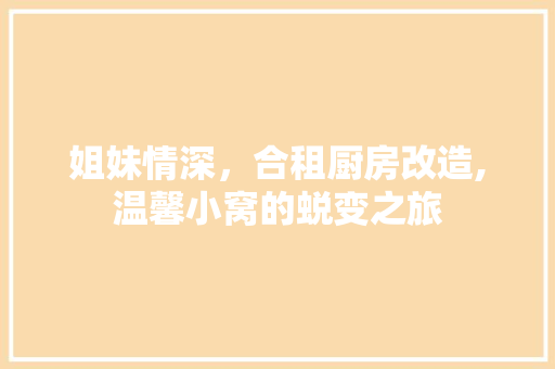 姐妹情深，合租厨房改造,温馨小窝的蜕变之旅 墙体维修