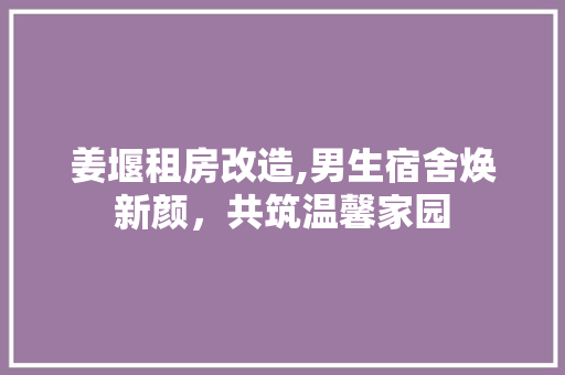 姜堰租房改造,男生宿舍焕新颜，共筑温馨家园