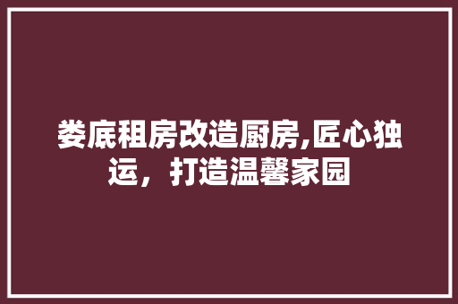 娄底租房改造厨房,匠心独运，打造温馨家园