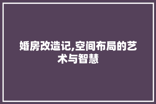 婚房改造记,空间布局的艺术与智慧