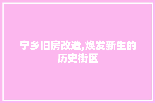 宁乡旧房改造,焕发新生的历史街区 汽车维修