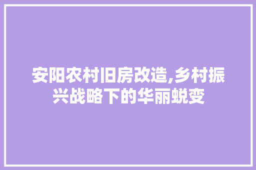安阳农村旧房改造,乡村振兴战略下的华丽蜕变