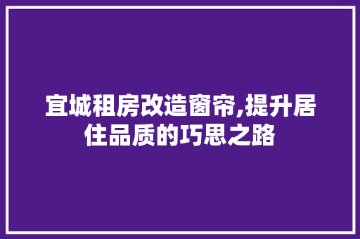 宜城租房改造窗帘,提升居住品质的巧思之路