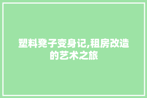 塑料凳子变身记,租房改造的艺术之旅
