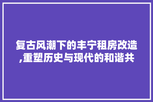 复古风潮下的丰宁租房改造,重塑历史与现代的和谐共生