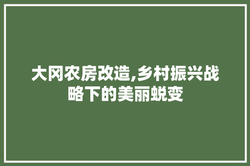 大冈农房改造,乡村振兴战略下的美丽蜕变
