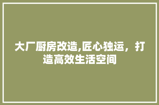 大厂厨房改造,匠心独运，打造高效生活空间