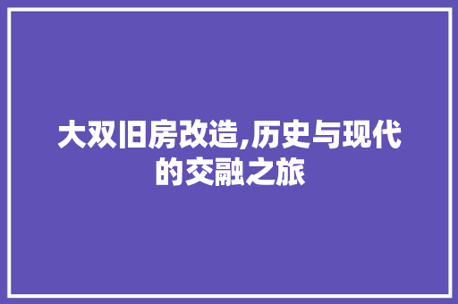 大双旧房改造,历史与现代的交融之旅