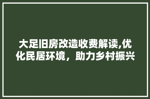 大足旧房改造收费解读,优化民居环境，助力乡村振兴 厨房维修