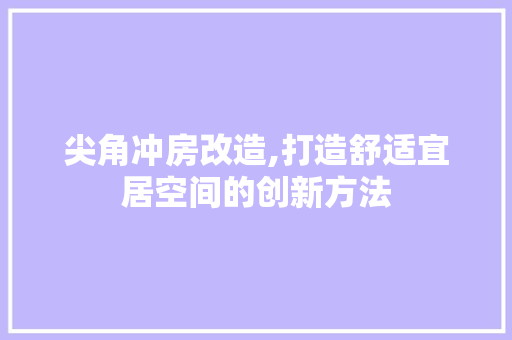 尖角冲房改造,打造舒适宜居空间的创新方法 汽车维修