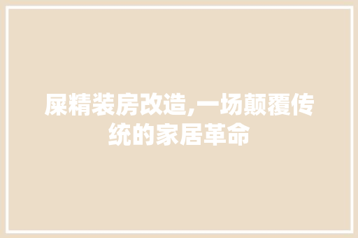 屎精装房改造,一场颠覆传统的家居革命