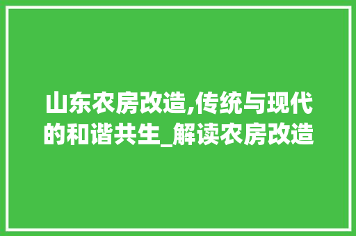 山东农房改造,传统与现代的和谐共生_解读农房改造图纸中的智慧与美学
