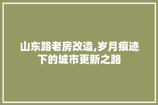 山东路老房改造,岁月痕迹下的城市更新之路