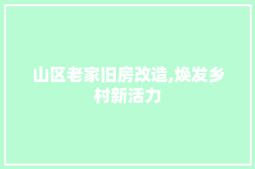 山区老家旧房改造,焕发乡村新活力
