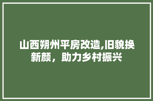 山西朔州平房改造,旧貌换新颜，助力乡村振兴