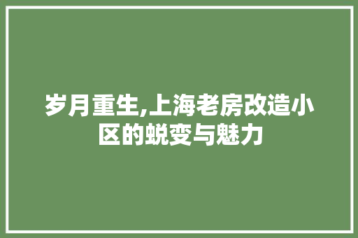 岁月重生,上海老房改造小区的蜕变与魅力