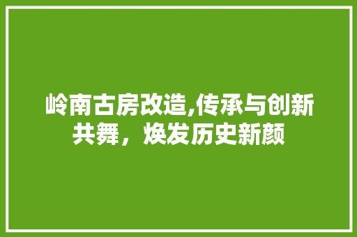 岭南古房改造,传承与创新共舞，焕发历史新颜