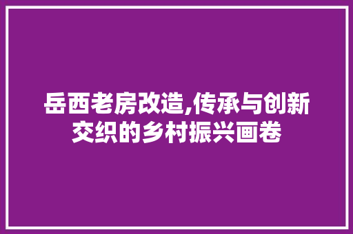 岳西老房改造,传承与创新交织的乡村振兴画卷